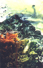 From a series " the novel worlds "